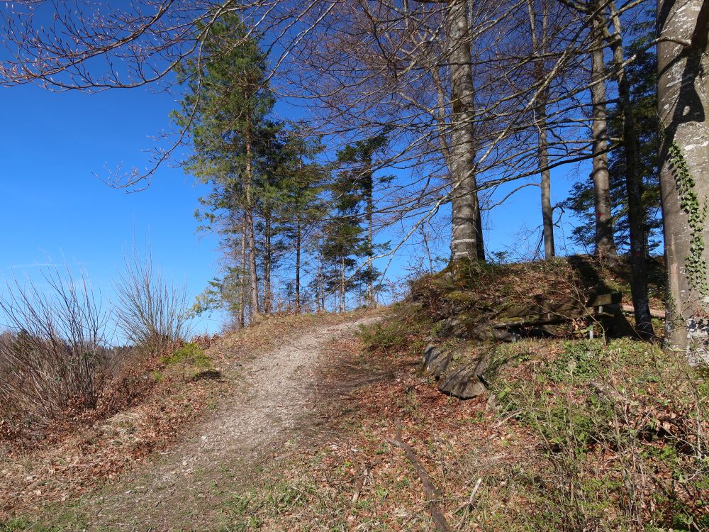 Bergpfad mit Sitzbank