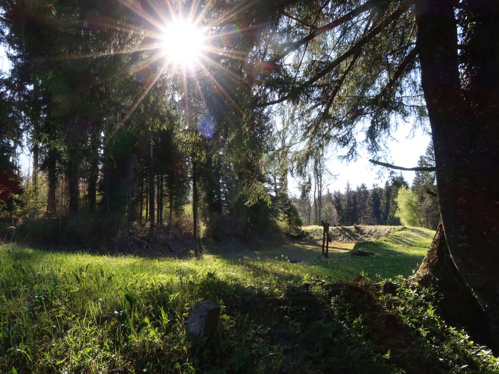 trockener Schneggenweiher im Gegenlicht