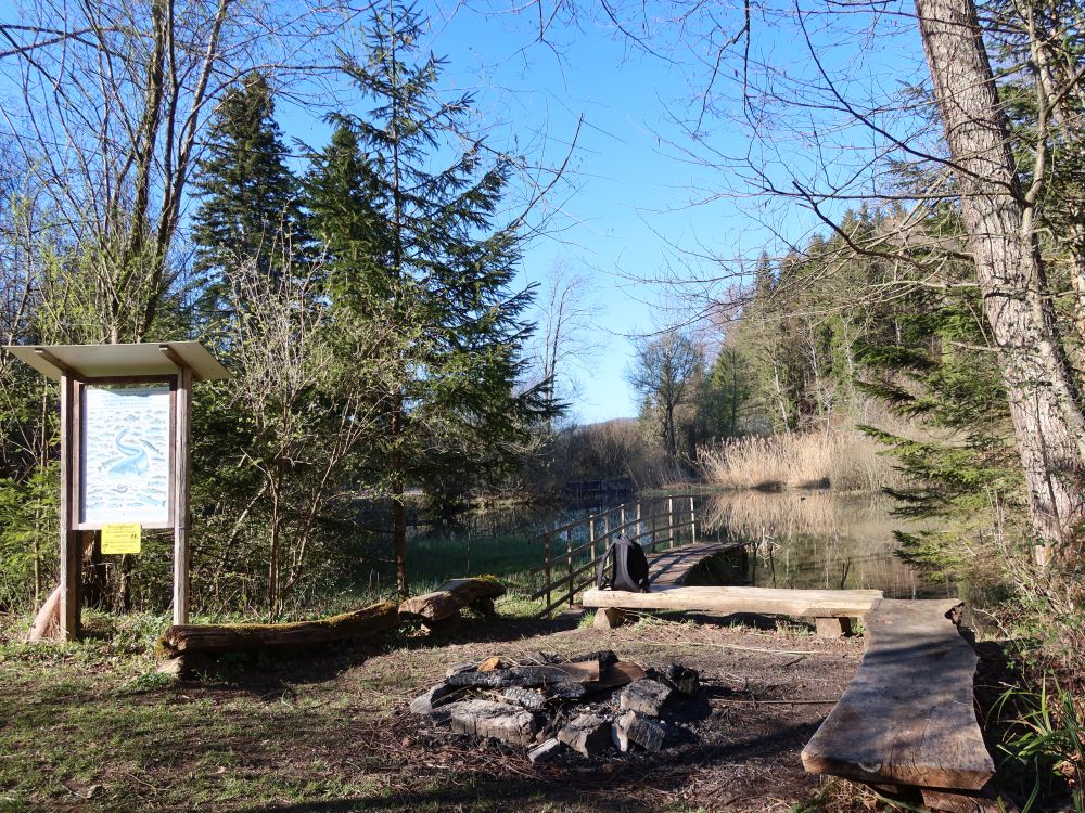 Feuerstelle am Bodenweiher