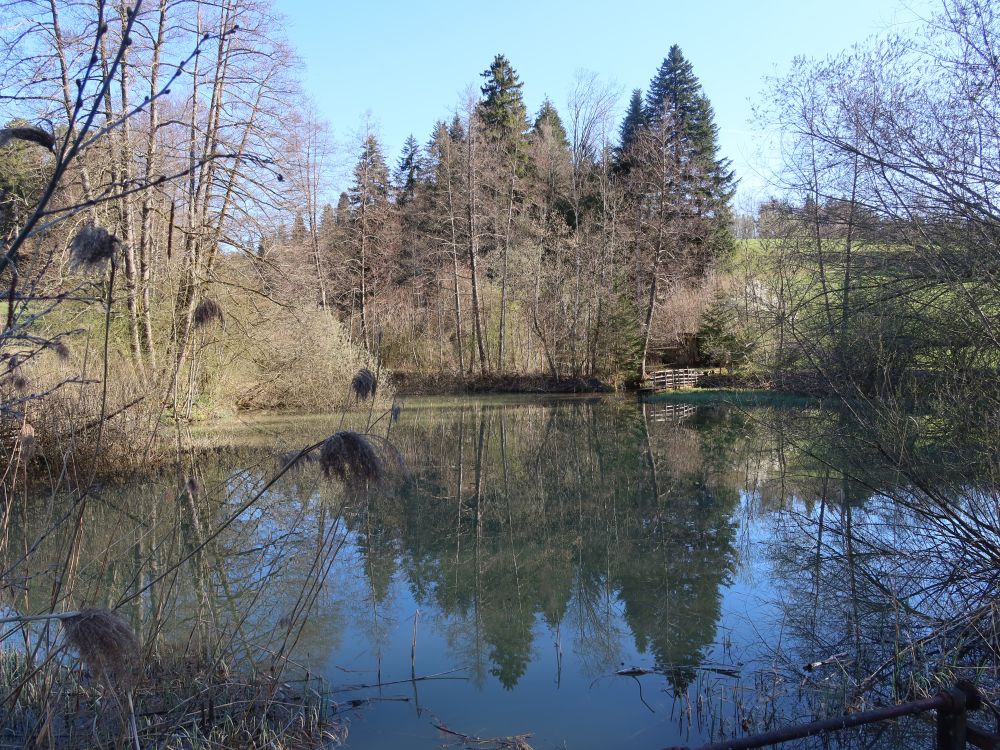 Spiegelung im Bodenweiher