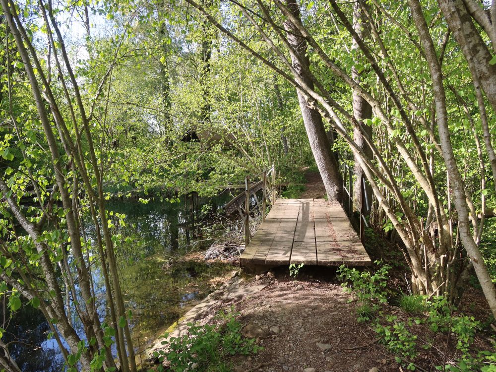 Steg am Oberen Weiher