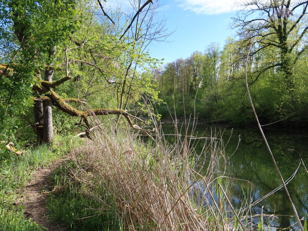 Pfad am Oberen Weiher