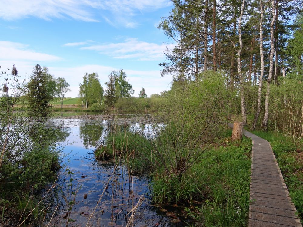 Steg am Weiher