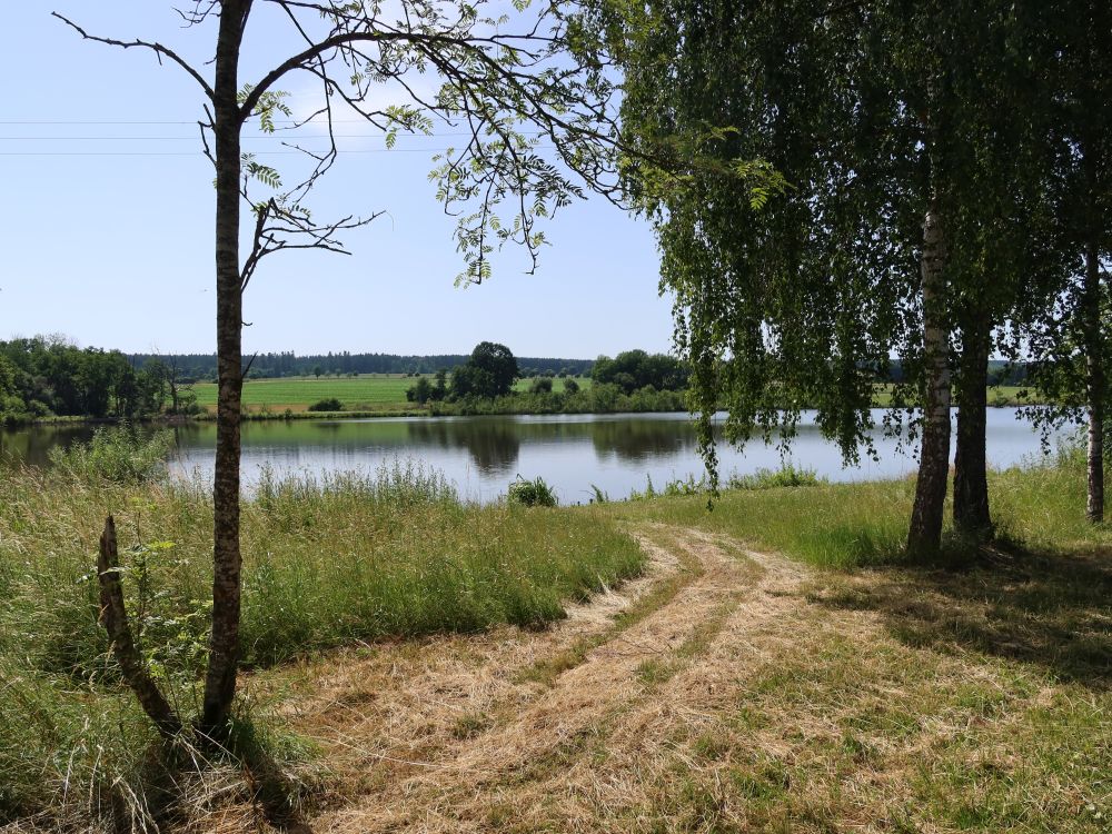 Wolterdinger Weiher