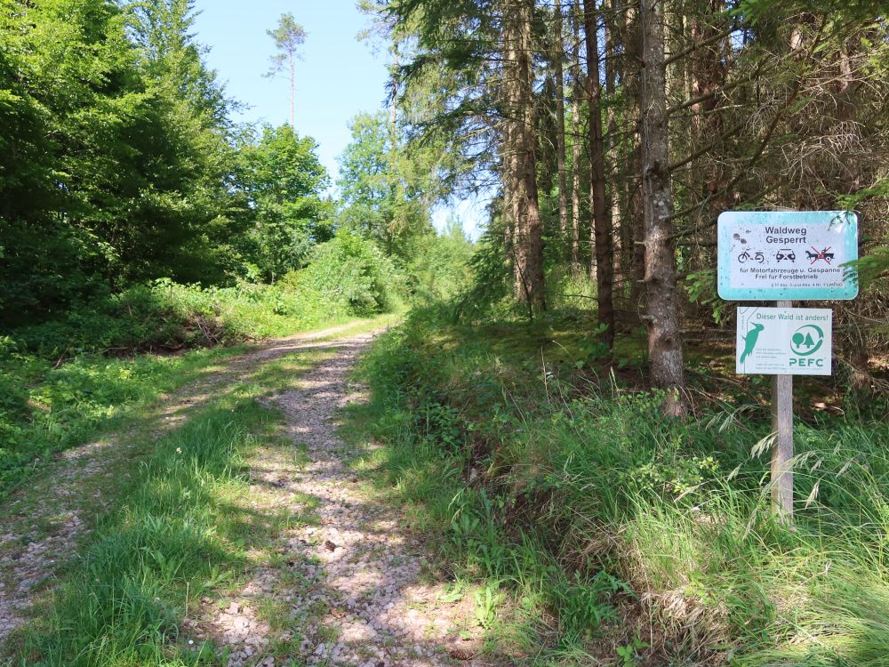 Waldweg