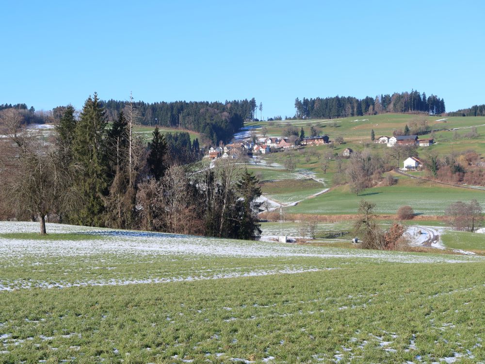 Blick Richtung Greutensberg