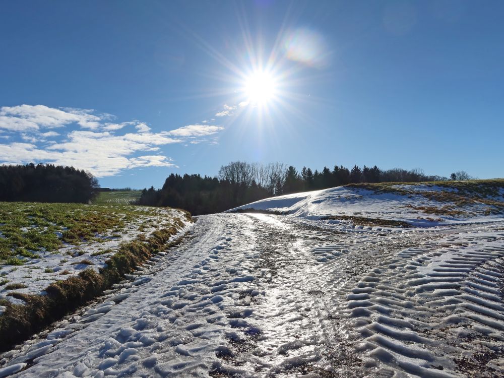 vereister Weg im Gegenlicht