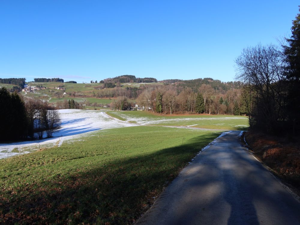 Blick Richtung Greutensberg