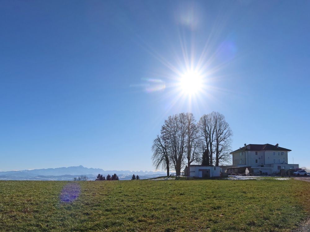 Säntis im Gegenlicht am Nollen