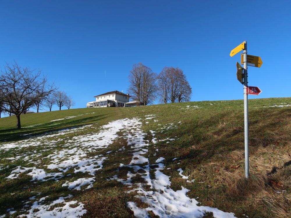 Wiesenpfad zum Nollen