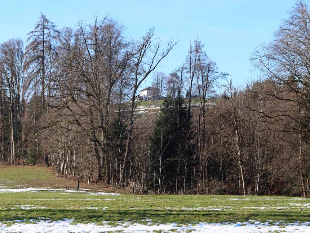 Restaurant Nollen zwischen Bäumen