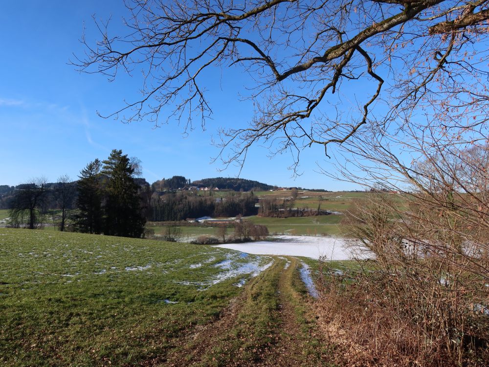 Blick Richtung Hombärg
