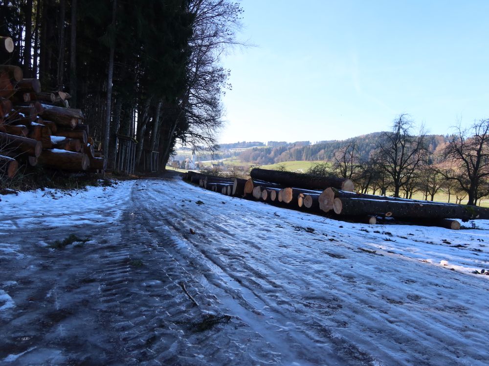 vereister Weg am Waldrand