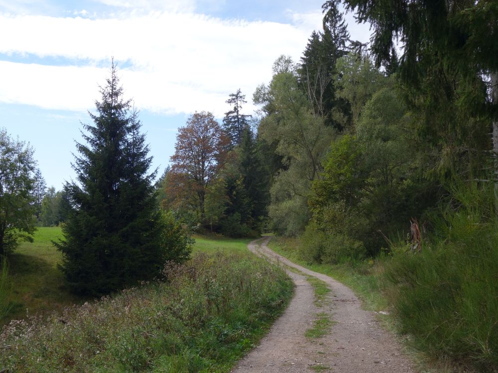 Weg bei Kappel-Grünwald