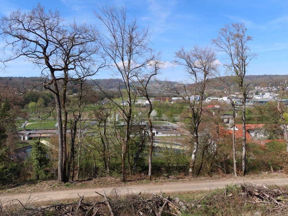 Kläranlage hinter Bäumen