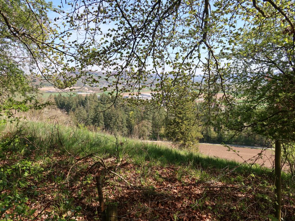 Aussichtspunkt (lt. Karte)