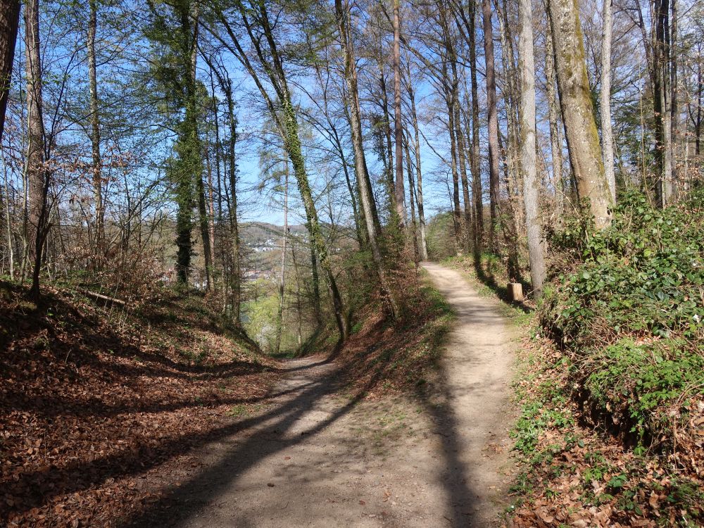 Waldweg