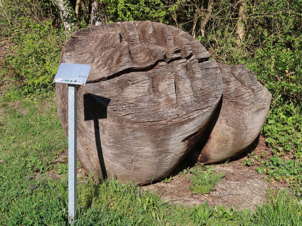 Bildhauer-Symposium: Strange Flowers