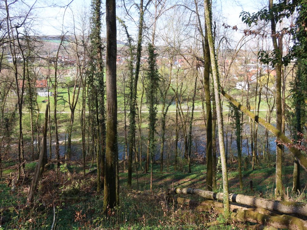 Wutach hinter Bäumen