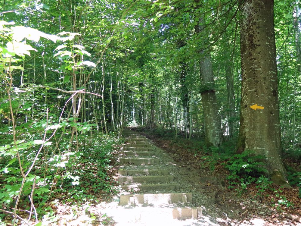 Treppe