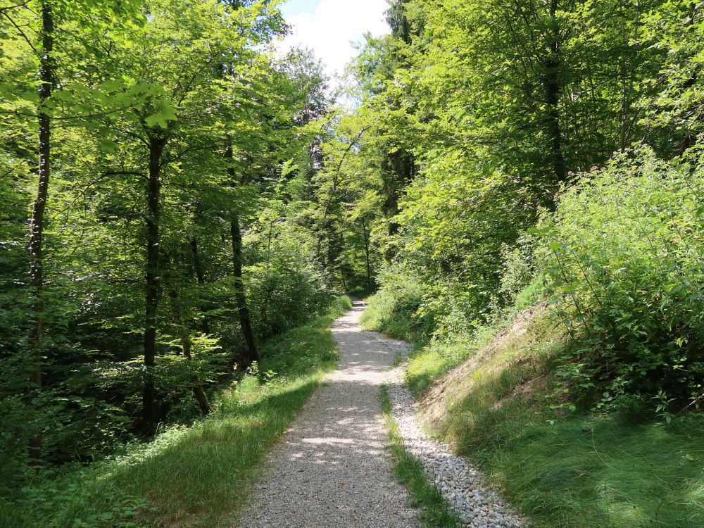 Tüfelchilenweg