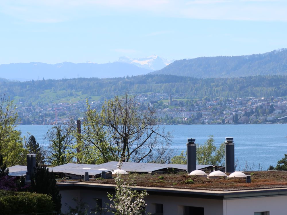 Zürichsee und Glärnisch im Dunst