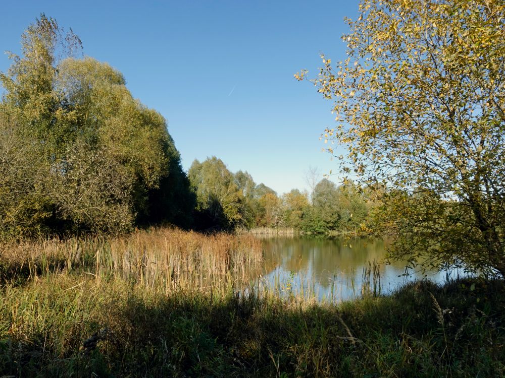 Schwackenreuter Seen