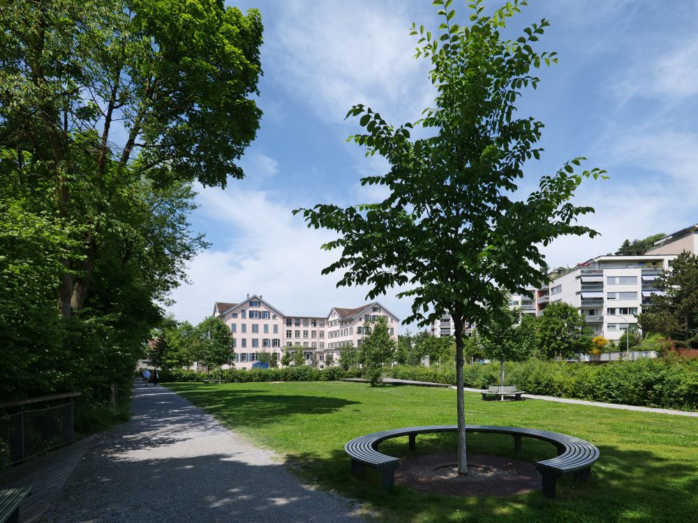 Park am Wasser