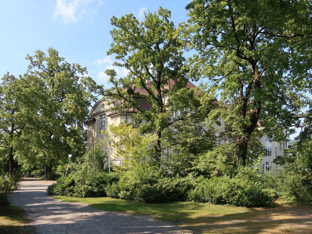 Kantonschule an Hohe Promenade