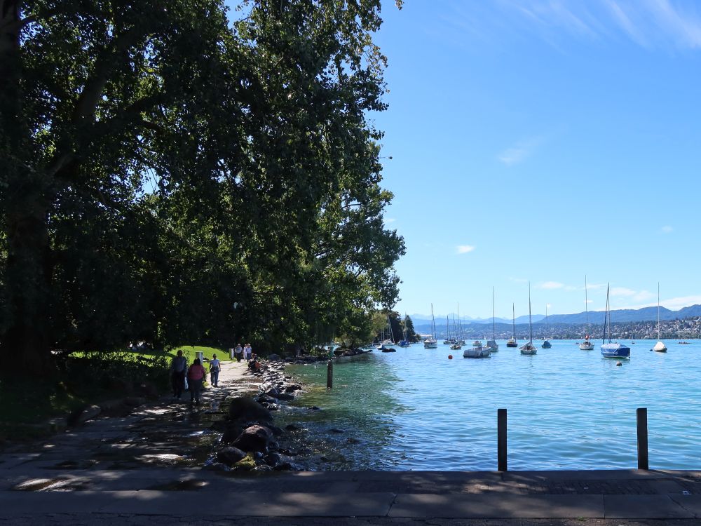 Weg am Seeufer