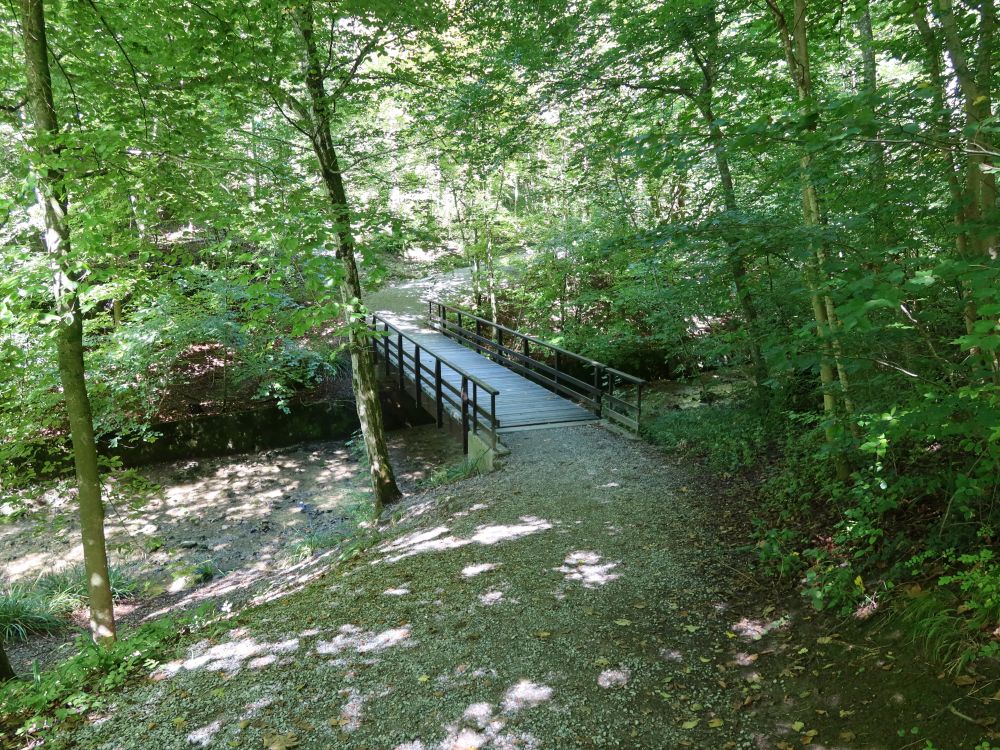 Steg übern Elefantenbach