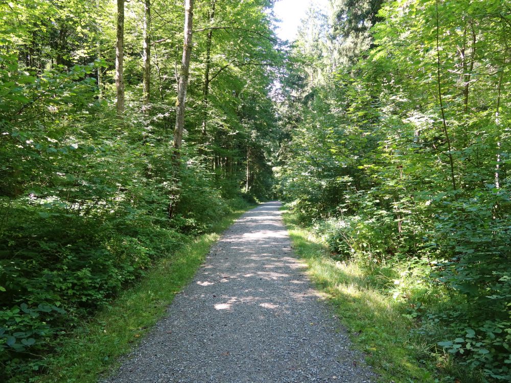 Hottingerbergstrasse